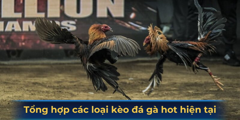 Tổng hợp các loại kèo đá gà hot hiện tại